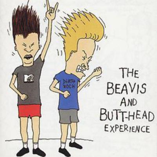 The Beavis and Butt-Head Experience