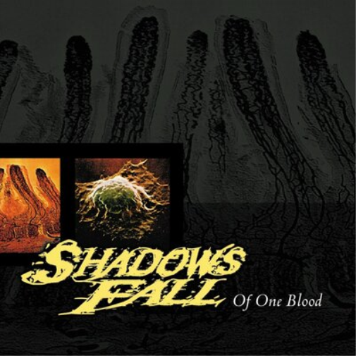 Of One Blood (RSD Black Friday 2020)