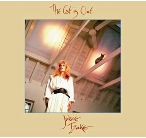 The Cat Is Out