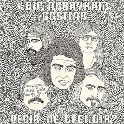 Nedir Ne Degildir?