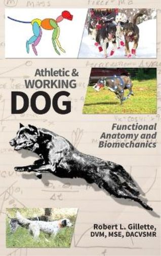 Athletic and Working Dog