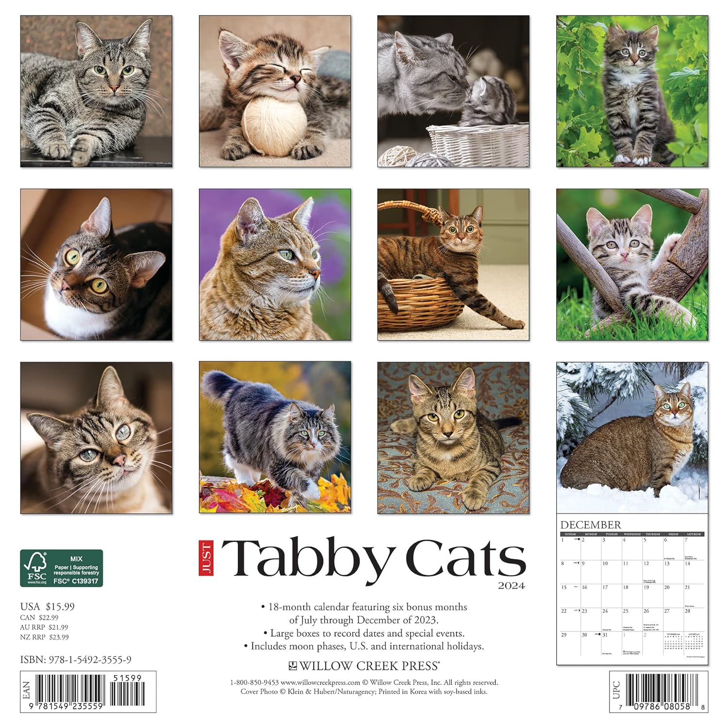 Just Tabby Cats 2024 12 X 12 Wall Calendar