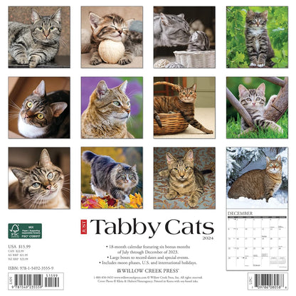 Just Tabby Cats 2024 12 X 12 Wall Calendar