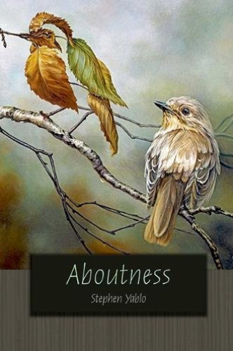 Aboutness