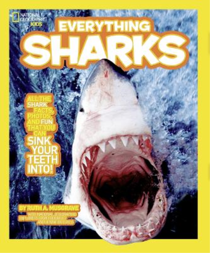 Everything Sharks