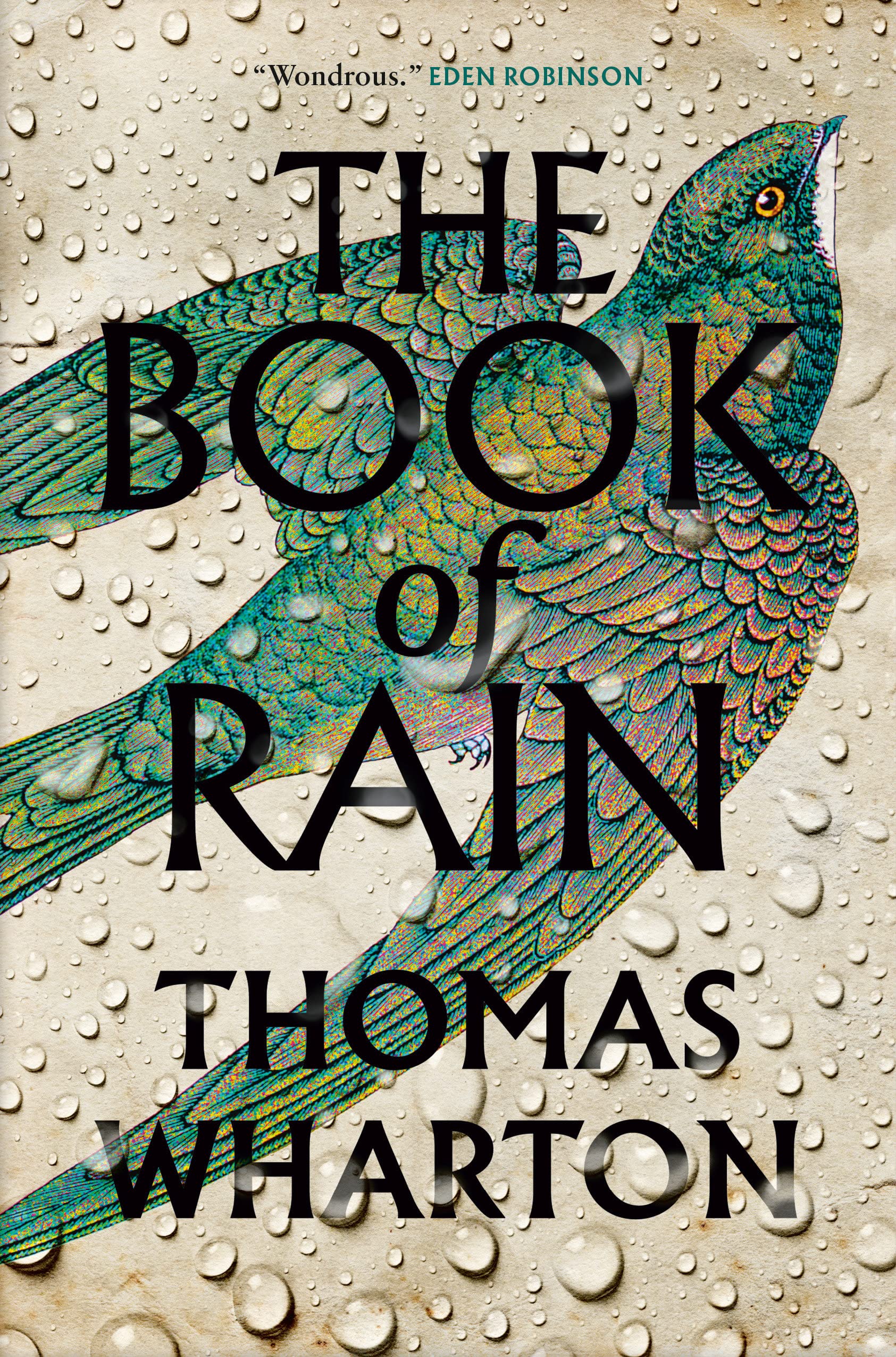 Book Of Rain