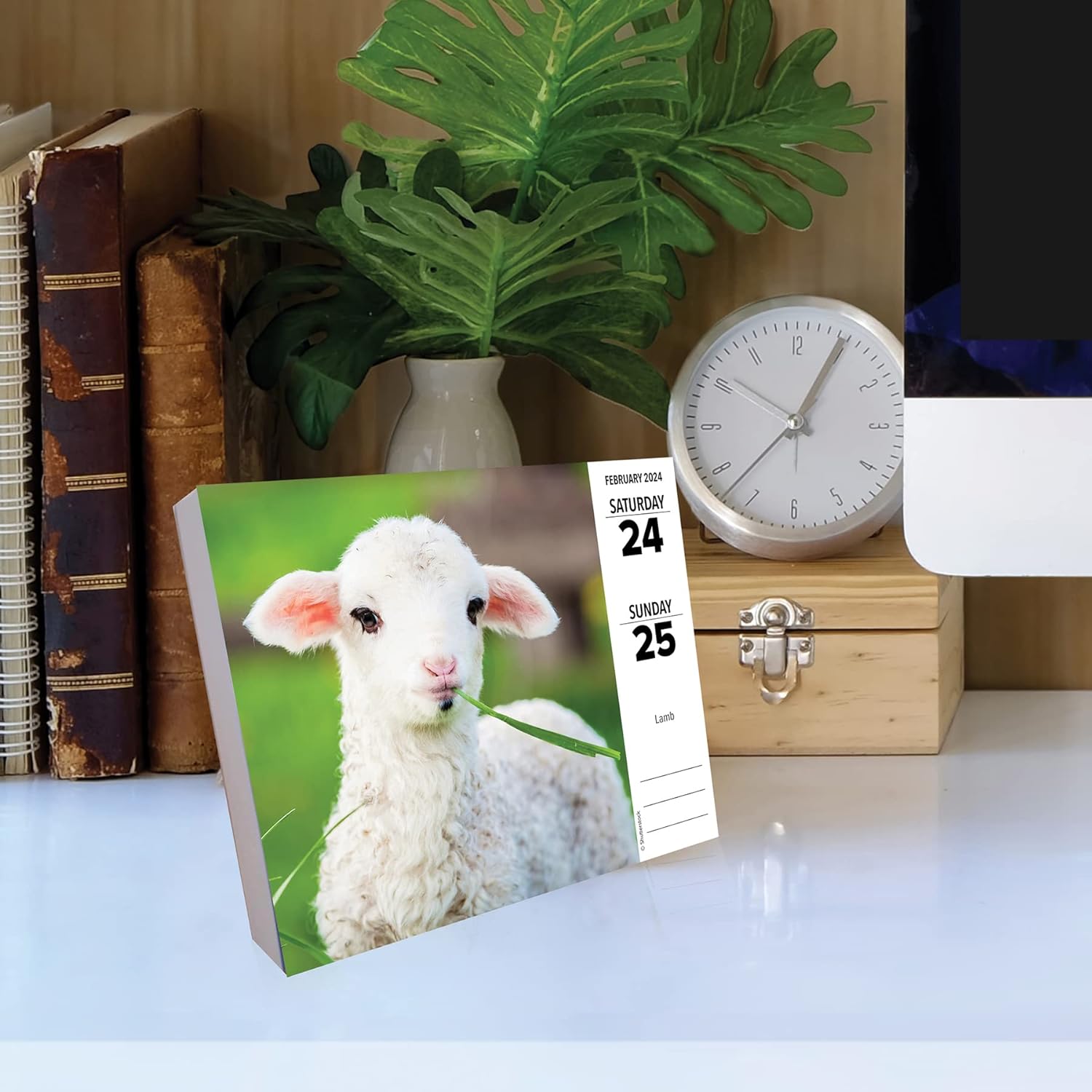 Baby Animals 2024 6.2 X 5.4 Box Calendar
