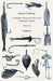 Roach Fishing - A Complete Manual Of The Art Of Angling For Roach