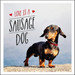 Love is a Sausage Dog