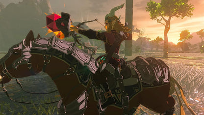 The Legend of Zelda: Tears of the Kingdom -  Nintendo Switch Standard