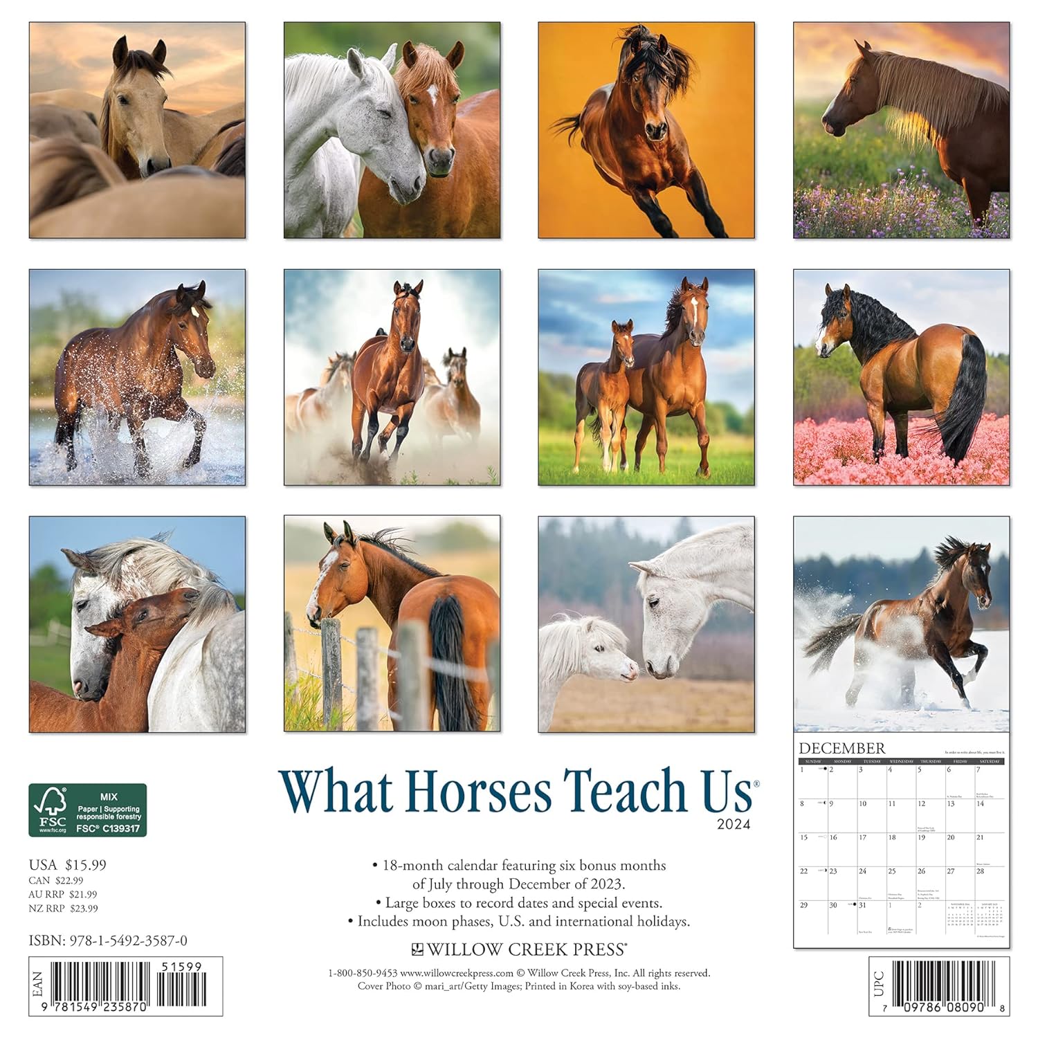 What Horses Teach Us 2024 12 X 12 Wall Calendar