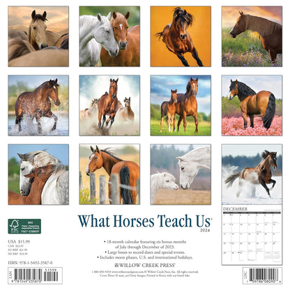 What Horses Teach Us 2024 12 X 12 Wall Calendar