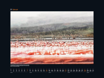 KUNTH Monats-Wandkalender Farben der Erde Afrika 2