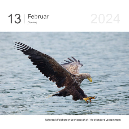 KUNTH Tischkalender TagesabreiBkalender Unterwegs