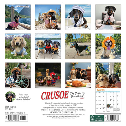 Crusoe the Celebrity Dachshund 2024 7 X 7 Mini Wall Calendar