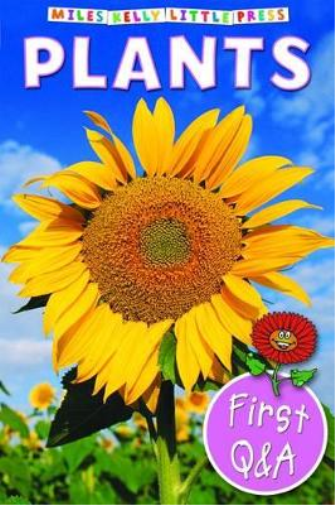 First Q & A - Plants