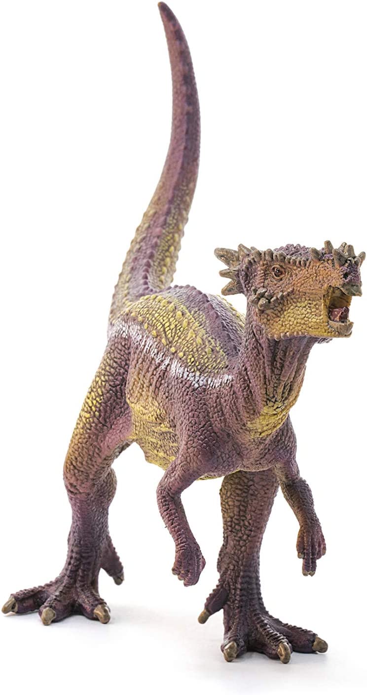 Schleich Dinosaurs, Dinosaur Toy, Dinosaur Toys for Boys and Girls 4-12 years old, Dracorex Multicoloured, 18.7 x 6.1 x 9.6 cm (W x D x H)