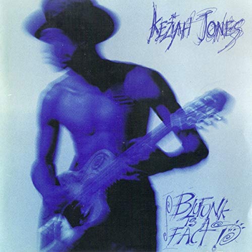 Blufunk is a fact! (1992)