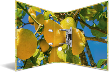 HERMA Fruit Cocktail Motivordner Zitrone 7,0 cm DI