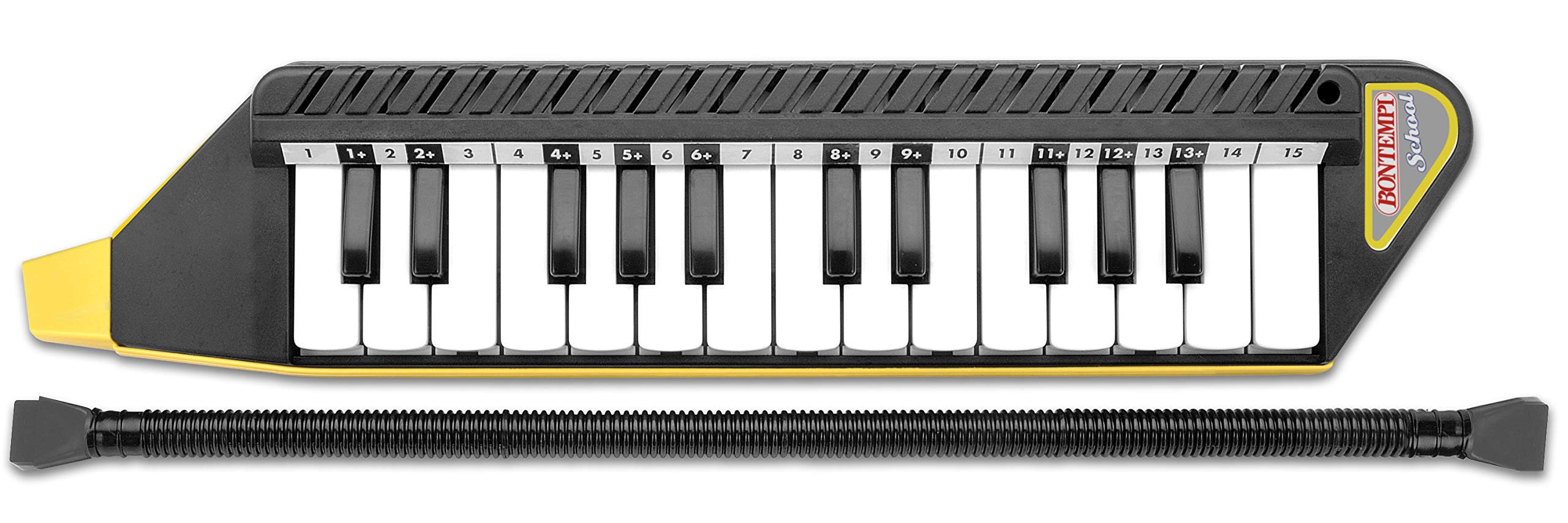 Bontempi 33 4262 - Clavietta 25 Tasti Con Valigetta E Metodo Musicale