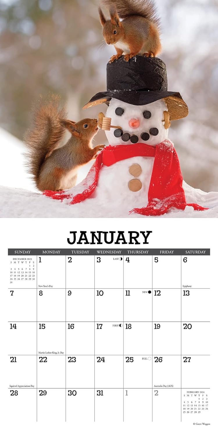 Gettin' Squirrelly 2024 7 X 7 Mini Wall Calendar