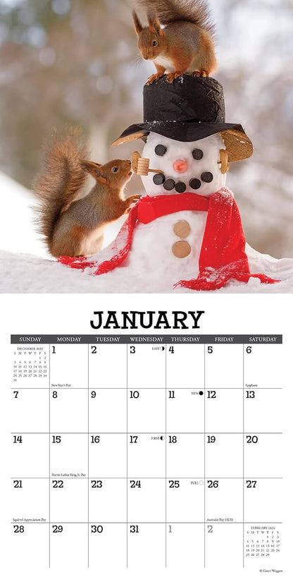 Gettin' Squirrelly 2024 7 X 7 Mini Wall Calendar
