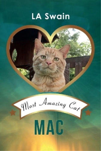 Mac