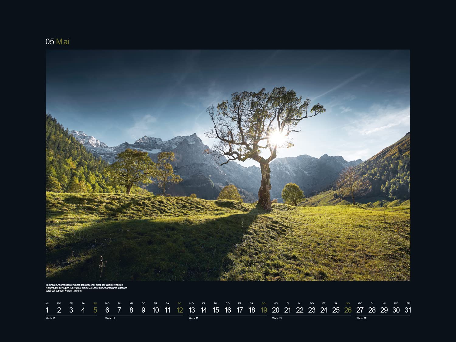 KUNTH Monats-Wandkalender Alte Baume - Sinnbild de