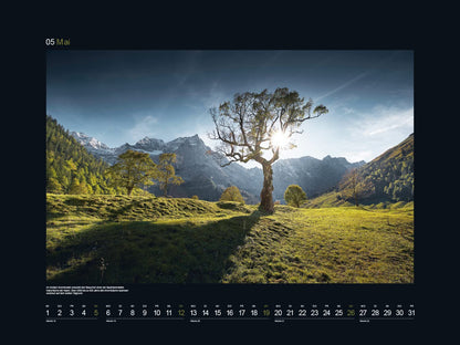 KUNTH Monats-Wandkalender Alte Baume - Sinnbild de