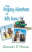 The Amazing Adventures of Billy Burro