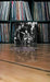 Story Und Songs Kompakt U2