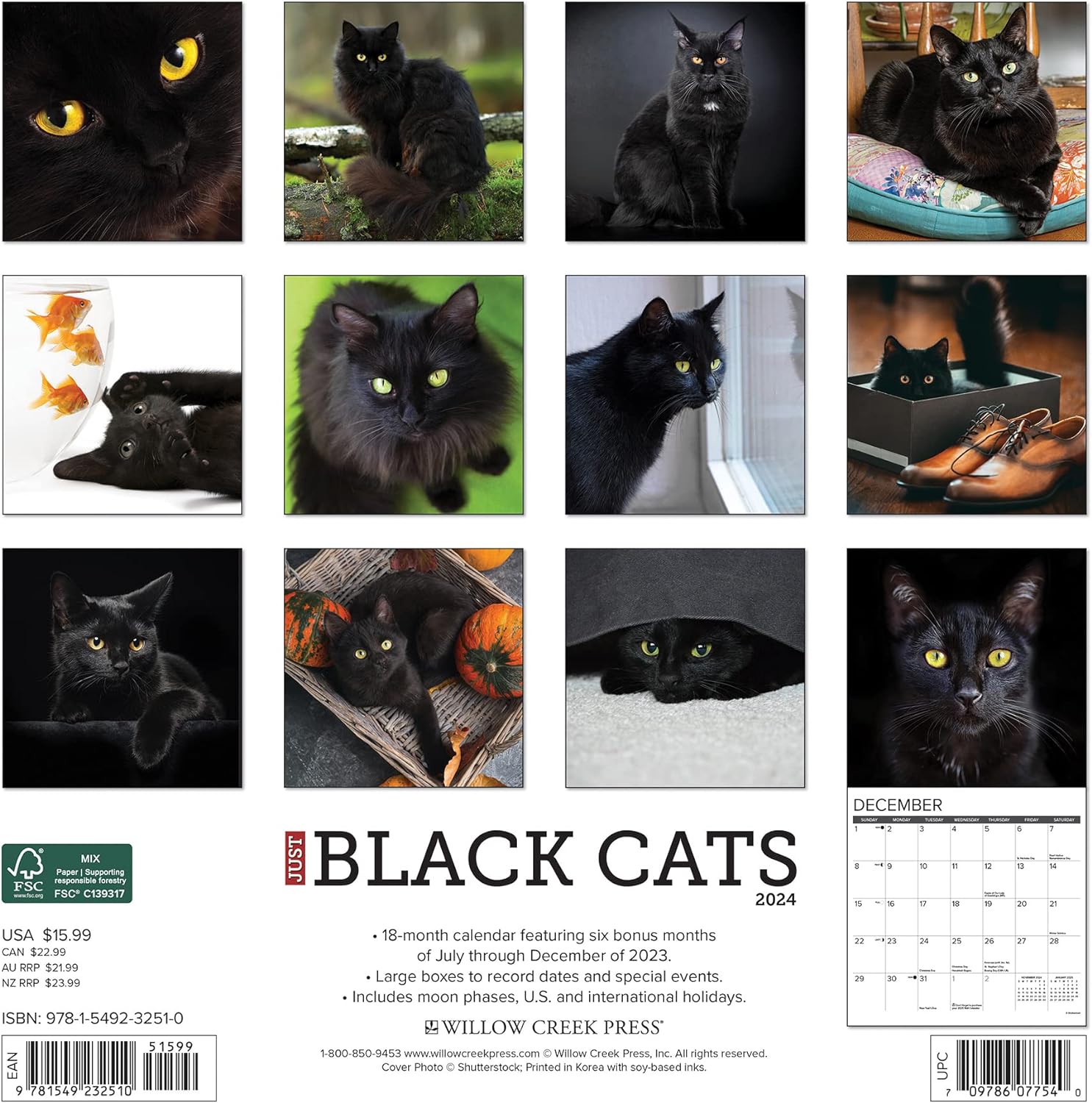 Just Black Cats 2024 12 X 12 Wall Calendar