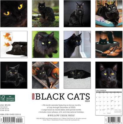 Just Black Cats 2024 12 X 12 Wall Calendar