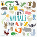 I Spy Animals From A To Z