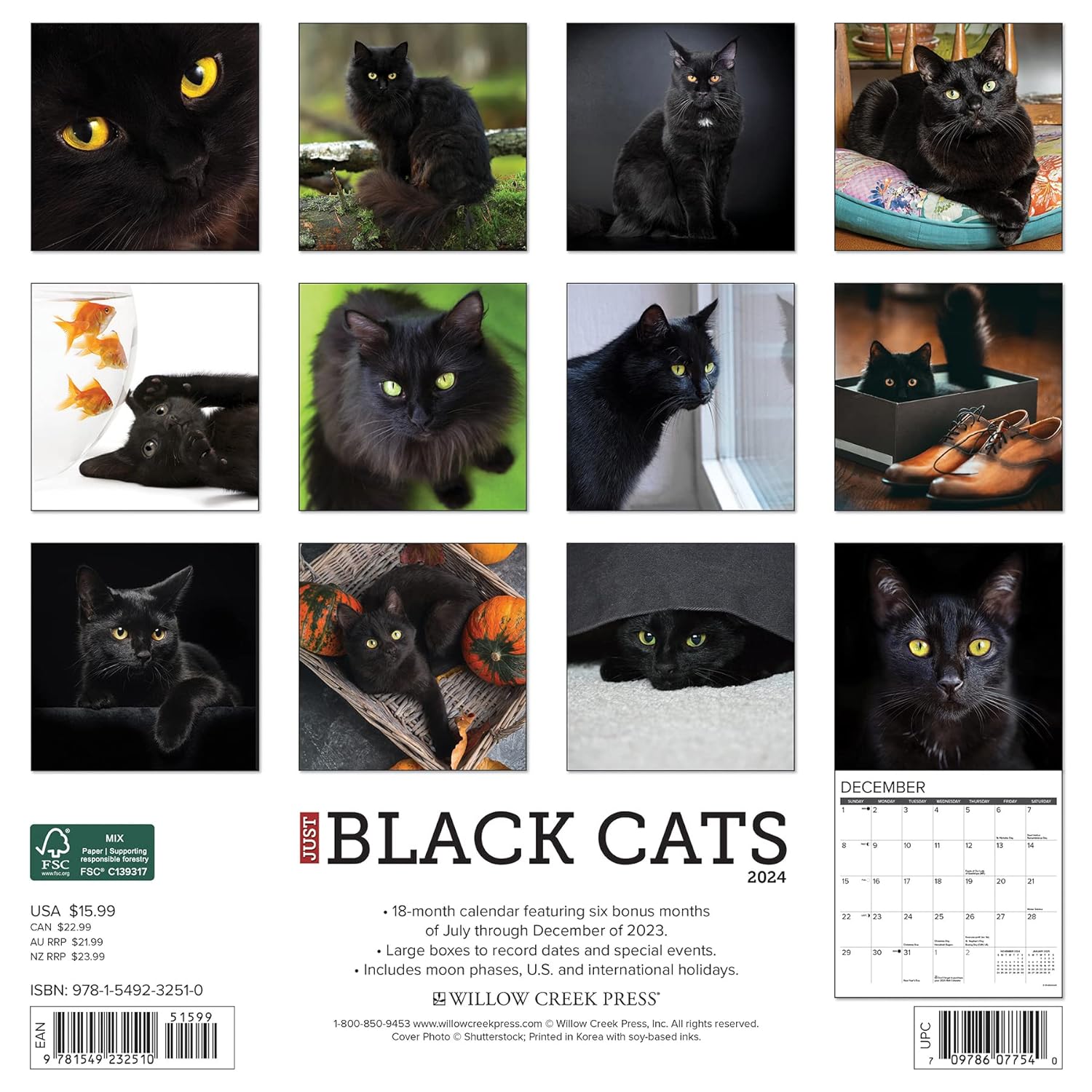 Just Black Cats 2024 12 X 12 Wall Calendar