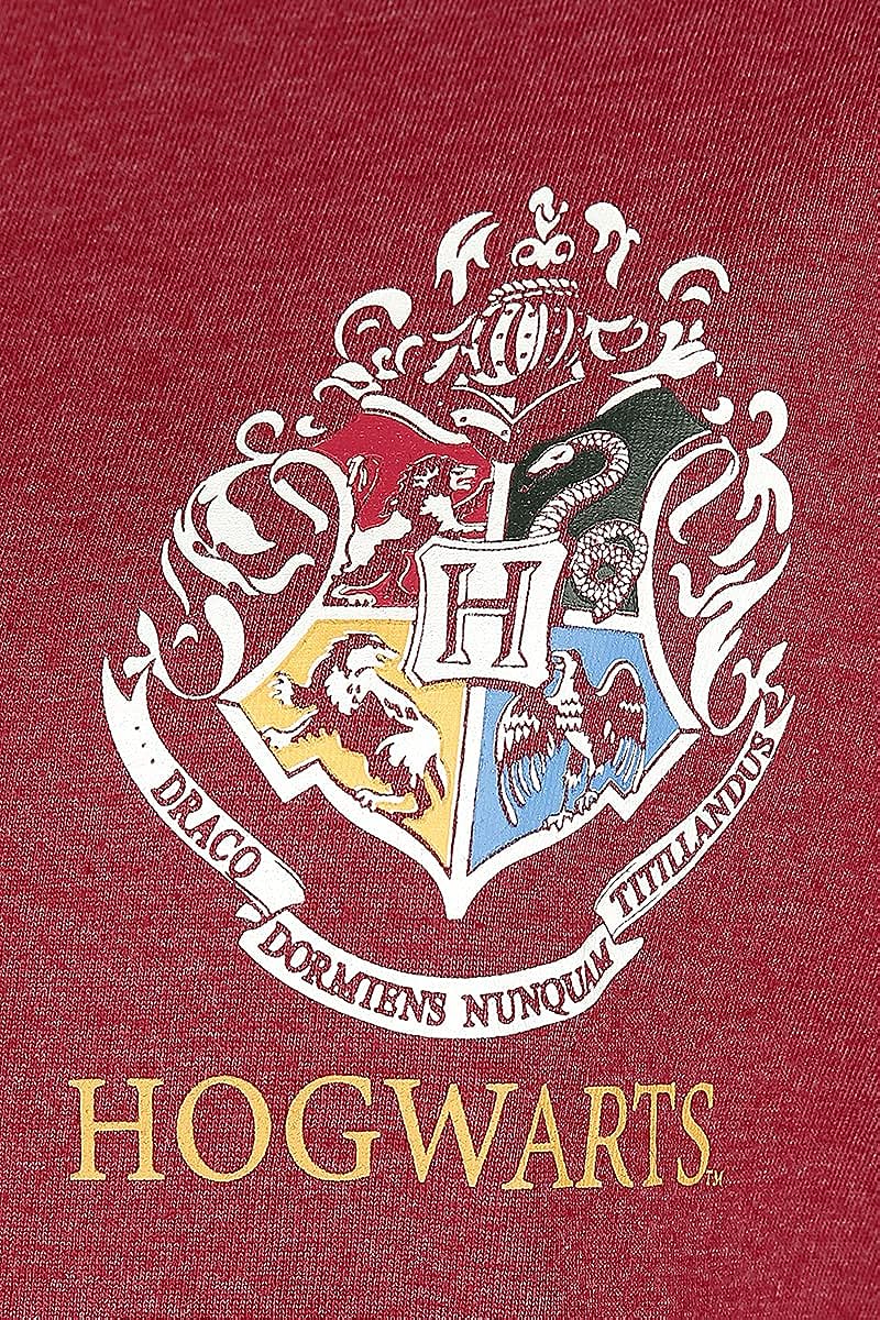 Harry Potter Ladies Oversize T-Shirt Team Gryffindor Seeker red S Red