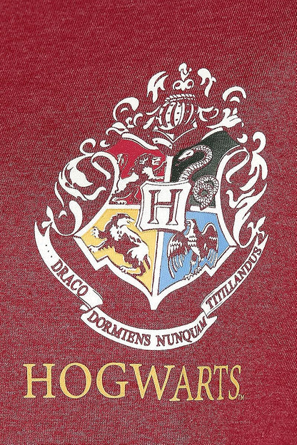 Harry Potter Ladies Oversize T-Shirt Team Gryffindor Seeker red S Red