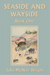 Seaside and Wayside, Book One (Yesterday's Classics)
