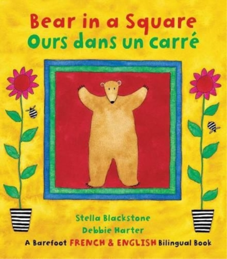 Bear in a Square / Ours dans un carre