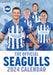 The Official Brighton & Hove Albion Fc Calendar 2024