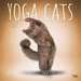 Yoga Cats 2024 Square