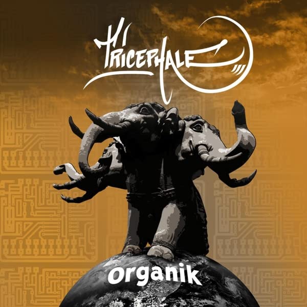 Organik