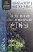 Sara, Camina En Las Promesas de Dios