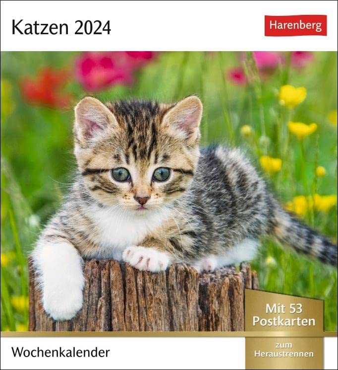 Harenberg Postkartenkalender Katzen 2024