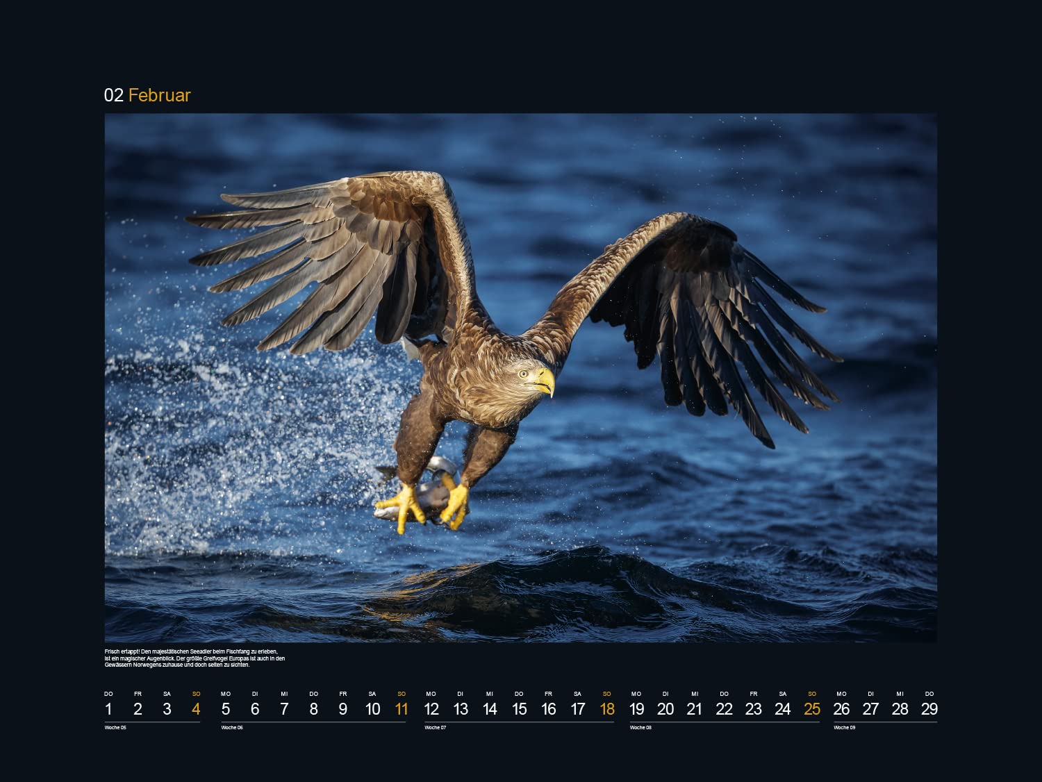 KUNTH Monats-Wandkalender Hurtigruten 2024