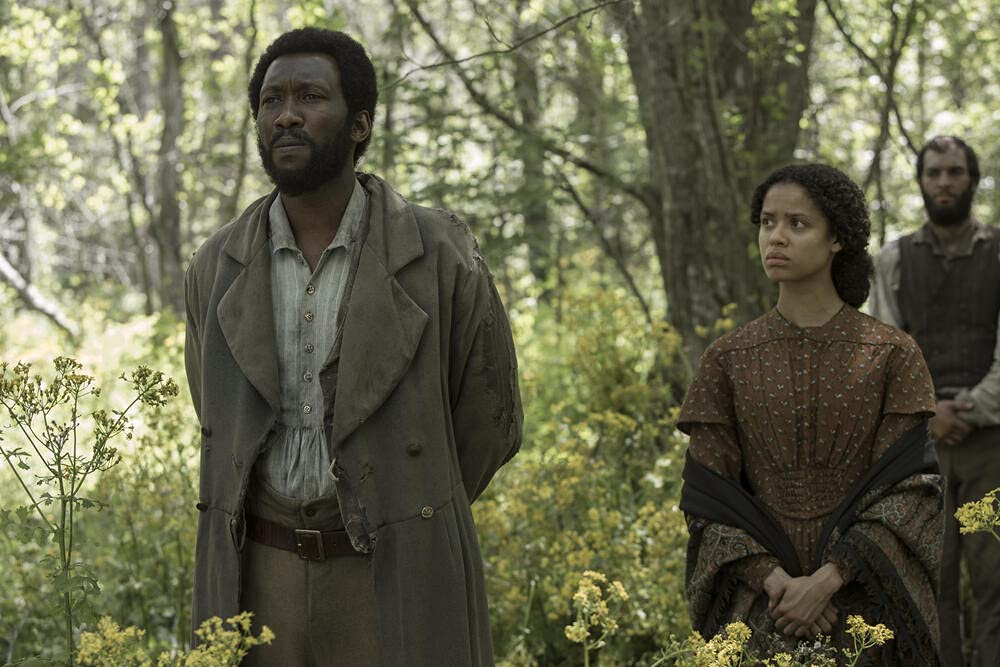 Free State of Jones