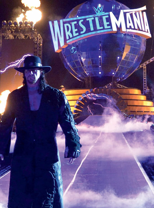 WWE: WrestleMania 33