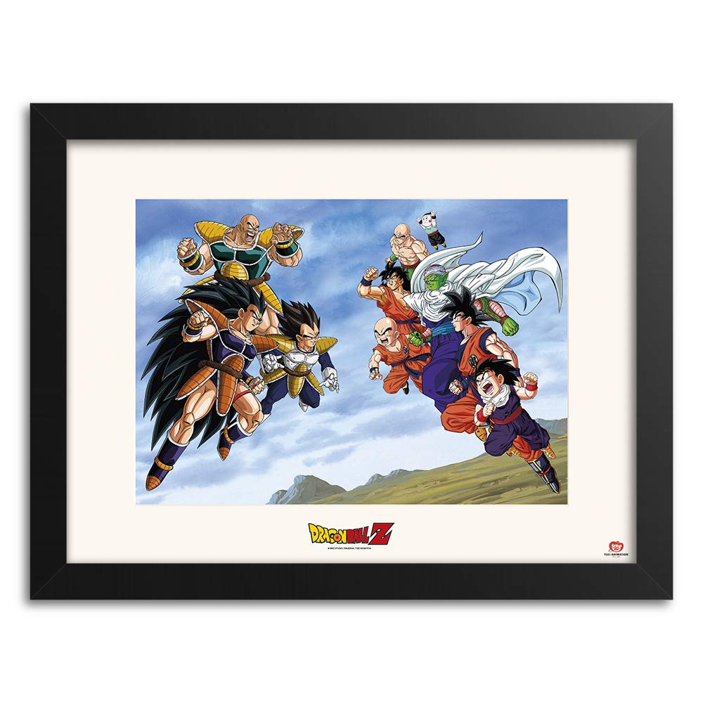 DRAGON BALL Z - Battle of Saiyans - Collector Prin