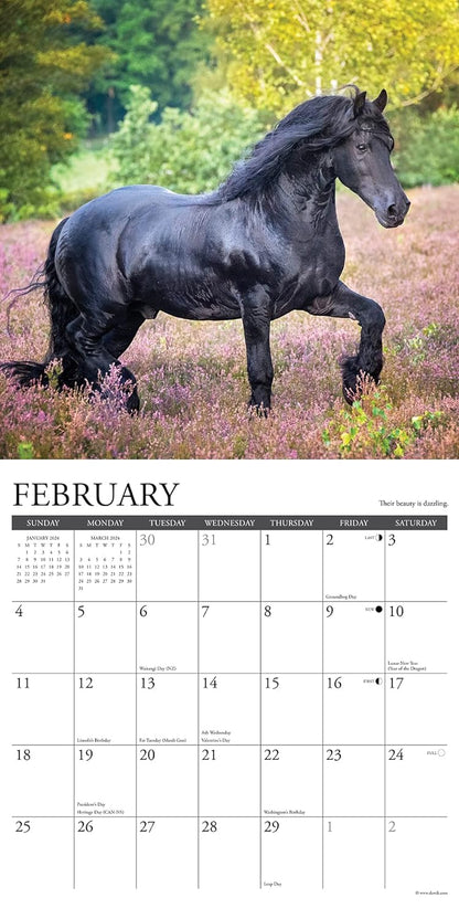 Happiness Is a Horse 2024 12 X 12 Wall Calendar