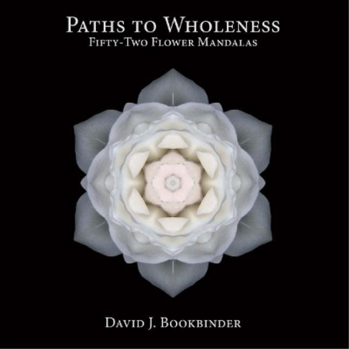 Paths to Wholeness